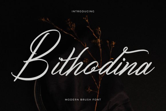Bithodina Font Review