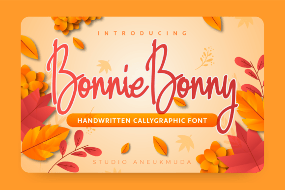 Bonniebonny: A Font That Brings Joy to Business