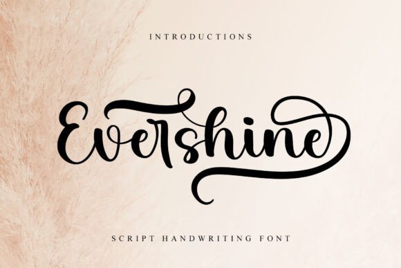 Evershine Font Review