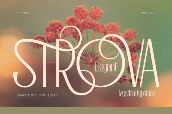 Strova: A Serif Font for Elegant Design